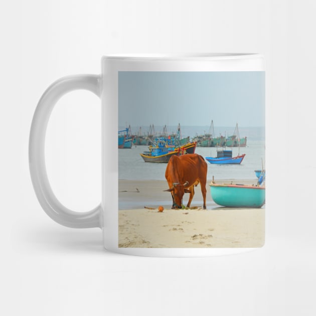 Cow on Mui Ne Beach by jojobob